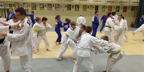 Powiększ grafikę: uczymy-sie-judo-od-najlepszych-judo-11639.jpg