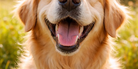 Powiększ grafikę: 1-673407.jpg