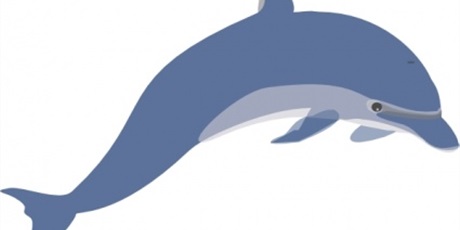 Powiększ grafikę: chcesz-plywa-jak-delfin-zapisz-sie-do-klasy-plywackiej-w-naszej-szkole-329415.jpg